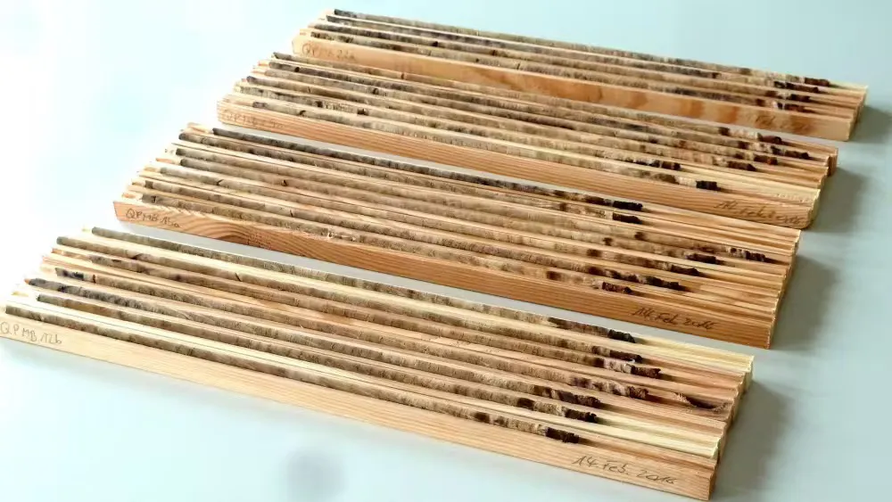 Holzproben auf hölzernen Bänkchen.
