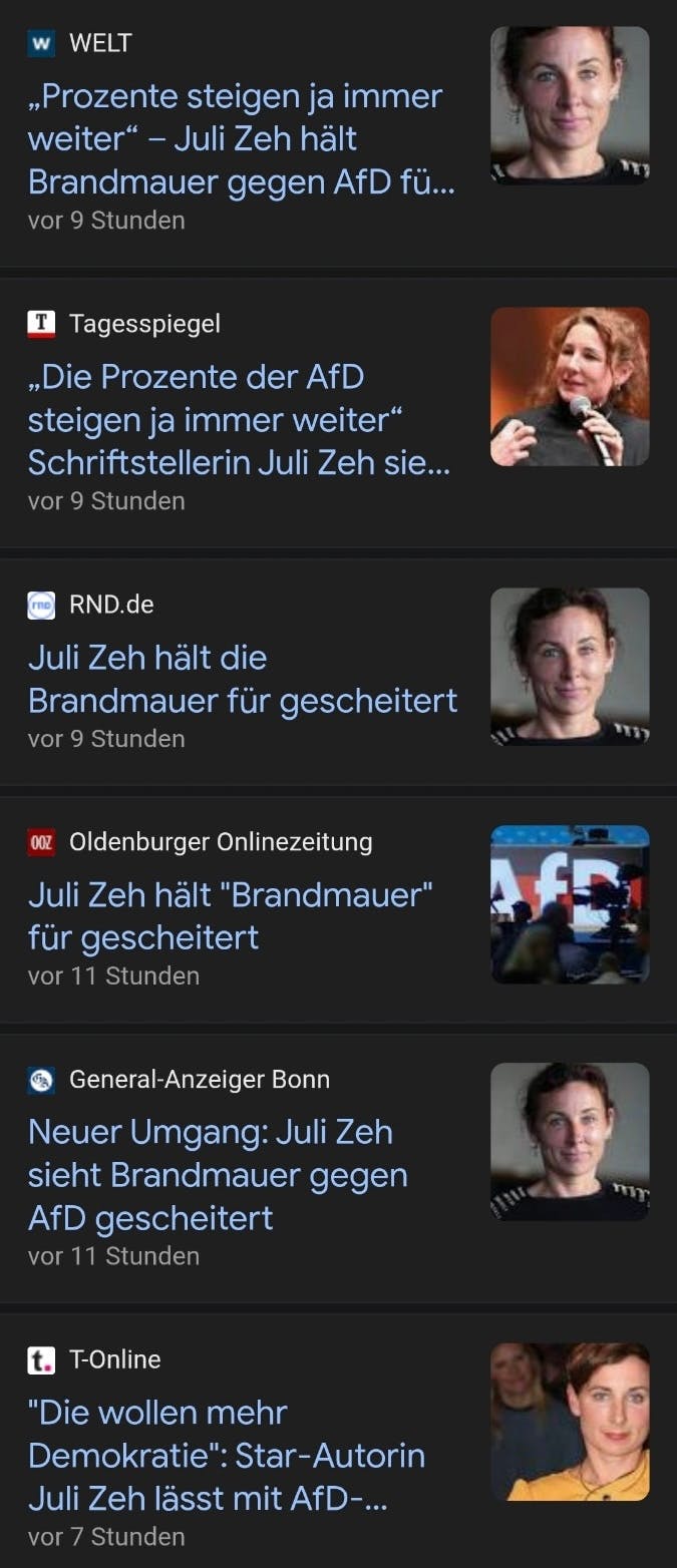 Eine Ansammlung verschiedener Schlagzeilen über Juli Zeh und ihre Aussage zur Brandmauer