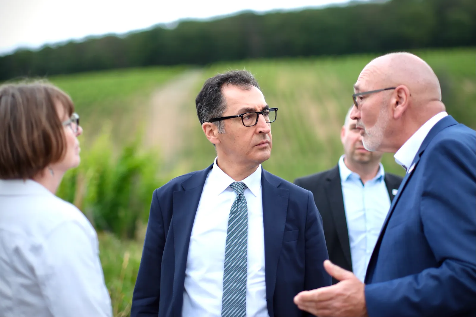 Menschen stehen im Weinberg