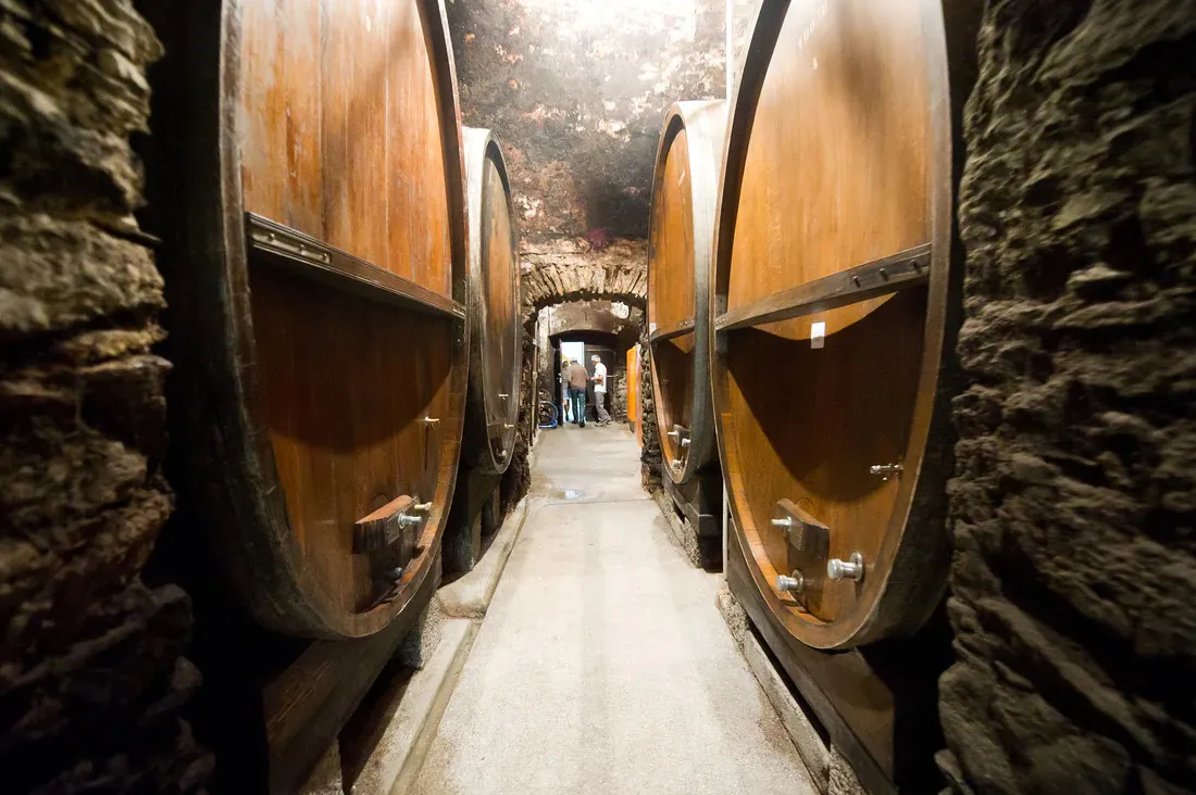 Große Weinfässer stehen in einem alten Weinkeller