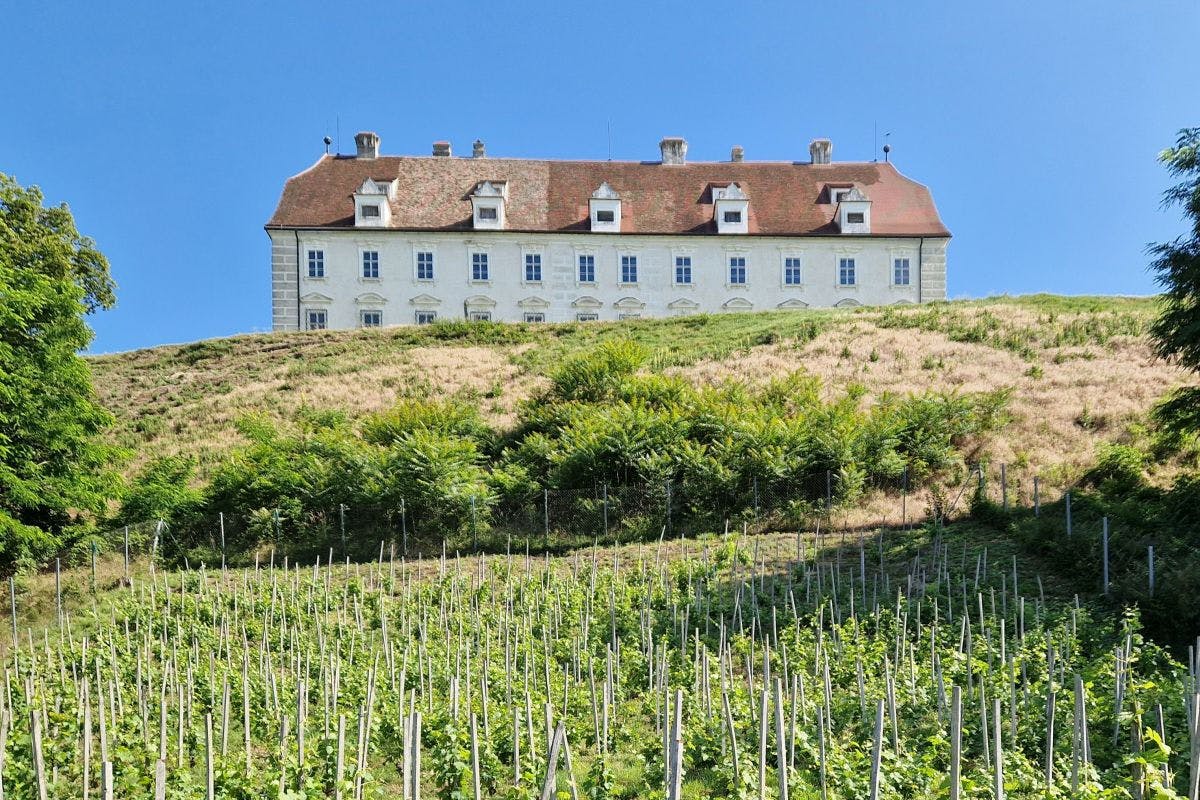 Schloss Juliusburg