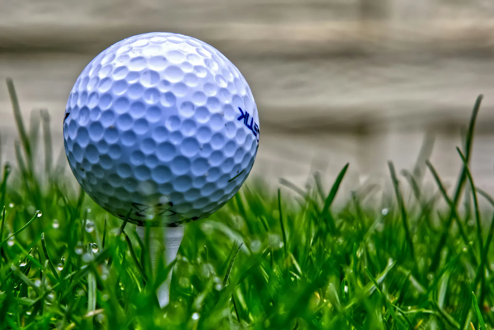 Ein Golfball auf dem Grün