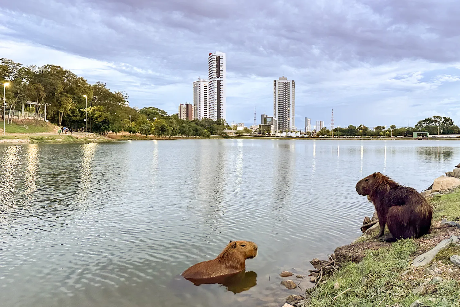Cuiabá, Brazil, 2024