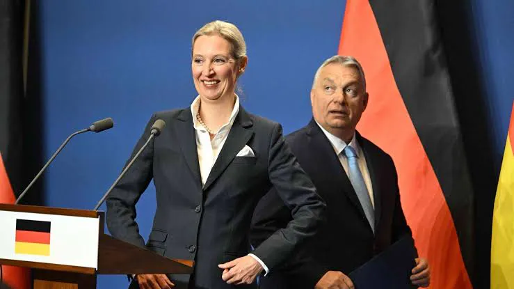Die AfD und Ungarn? Nur eine Orbán-e Legende.