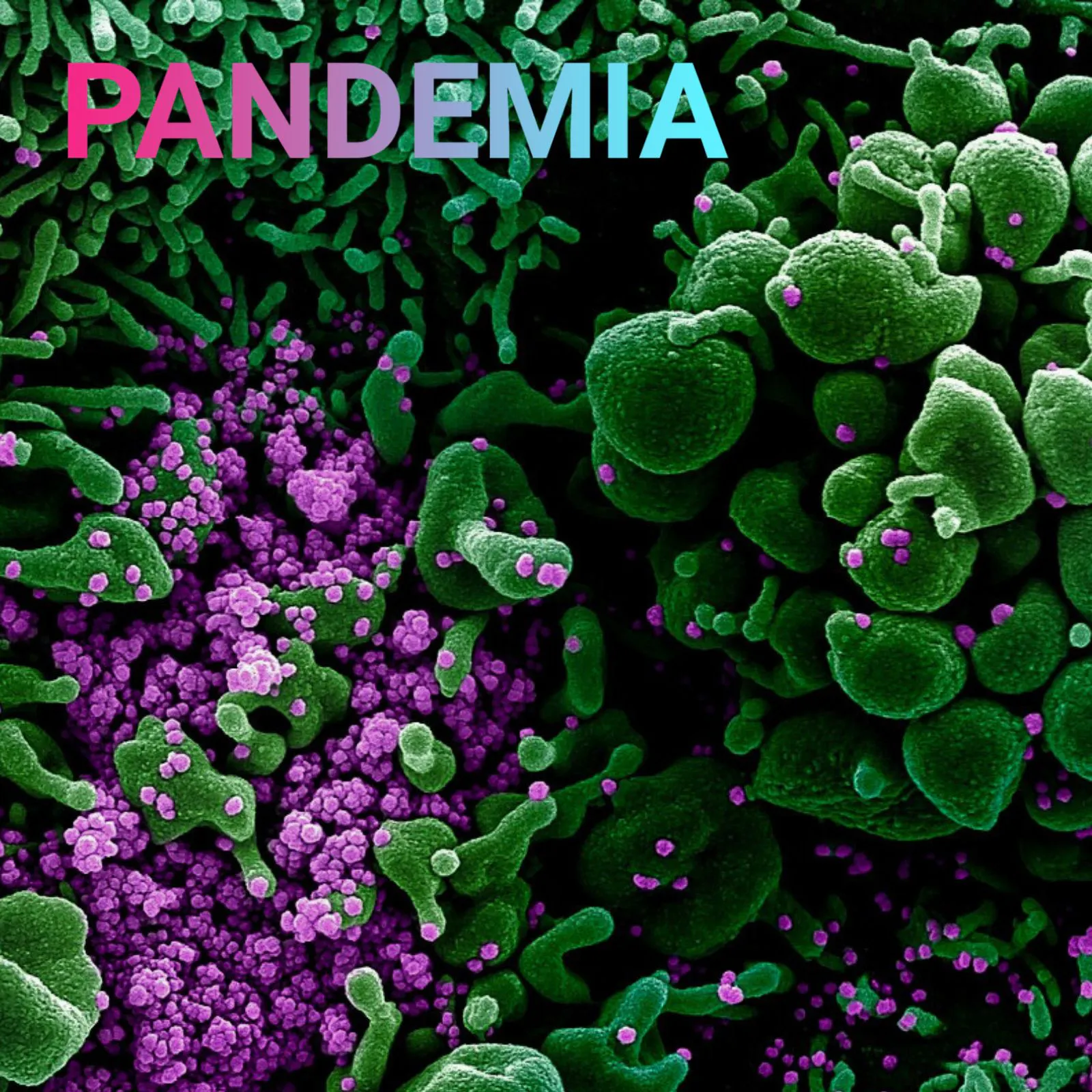 Pandemia Sars CoV2 Virus
