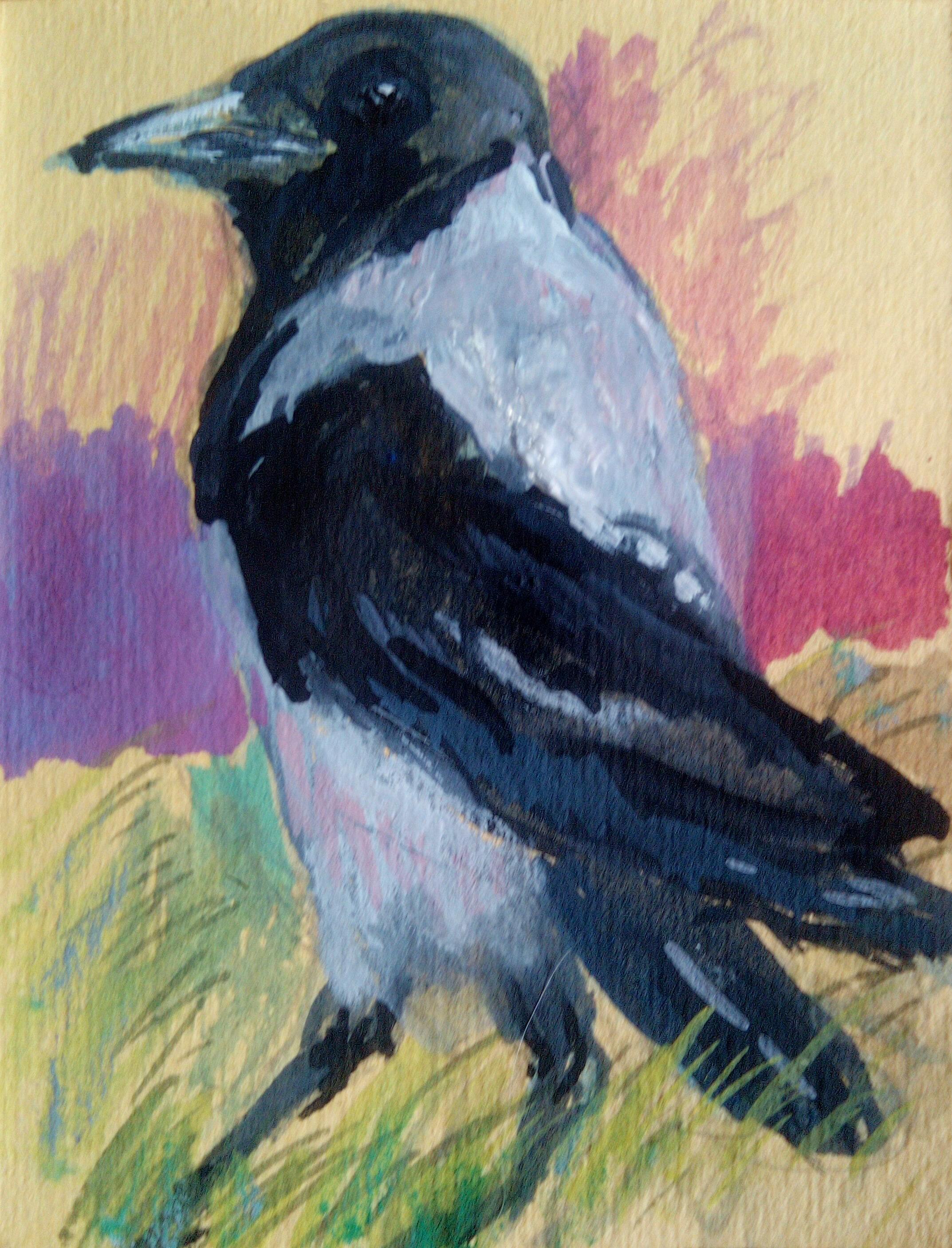 A gouache painting of a hooded crow, grey and black, painted against the cream background of the paper. Grass is painted loosely and mid image is painted purple on the left and dark pink on the right.