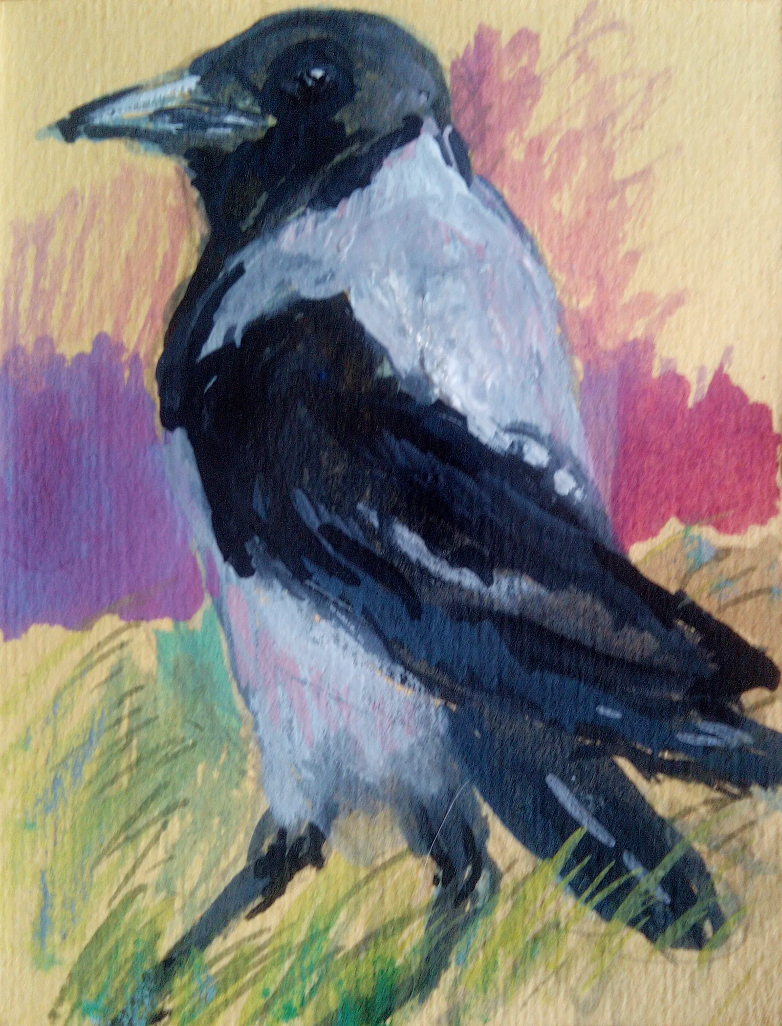 A gouache painting of a hooded crow, grey and black, painted against the cream background of the paper. Grass is painted loosely and mid image is painted purple on the left and dark pink on the right.