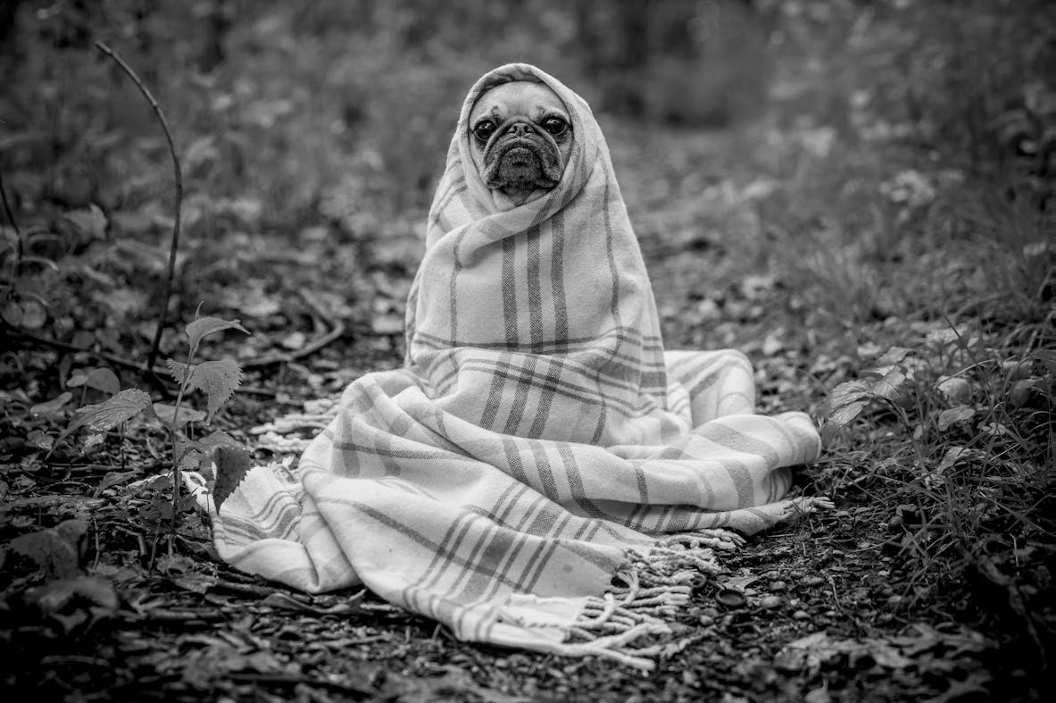 #054 Extra-Ultra-Supra #054 Extra-Ultra-Supra