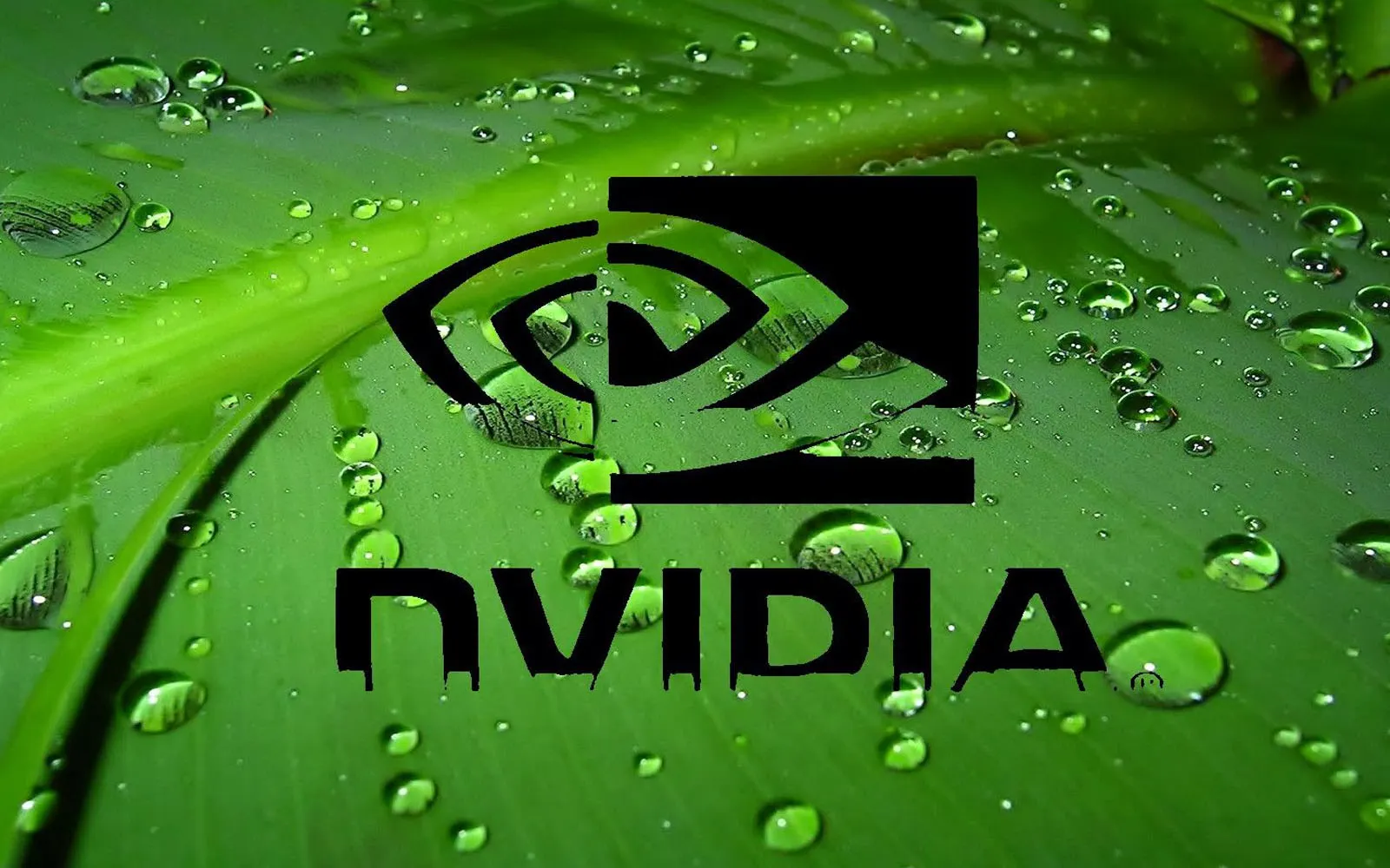 Logo von Nvidia auf grünem Grund mit Wassertropfen