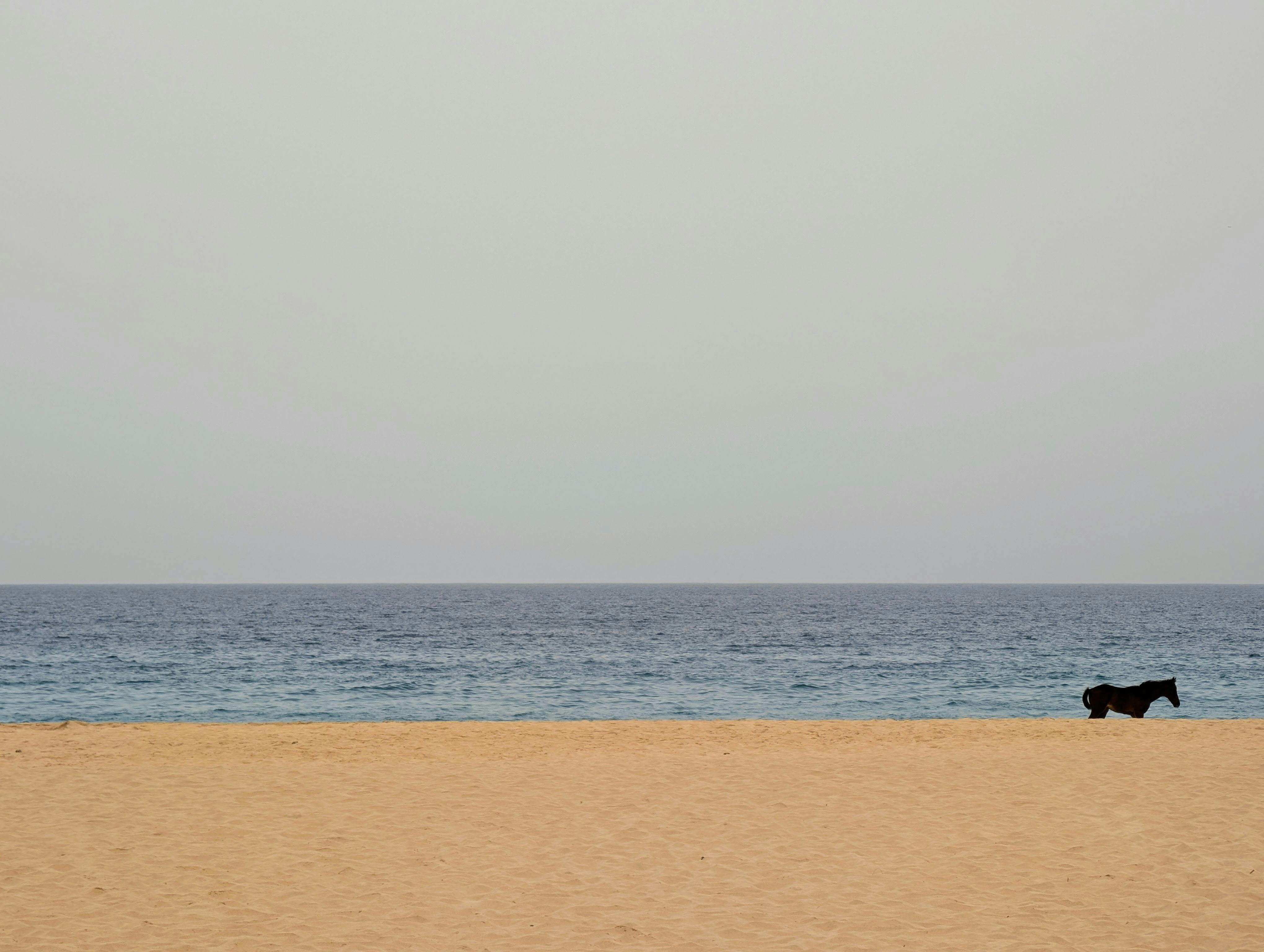 Meer, Strand, Sonne - die Ferien fangen an. Foto: Jürgen Brand