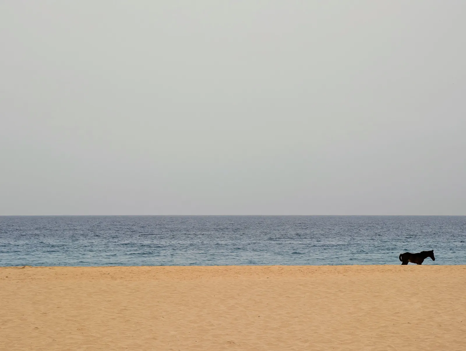 Meer, Strand, Sonne - die Ferien fangen an. Foto: Jürgen Brand