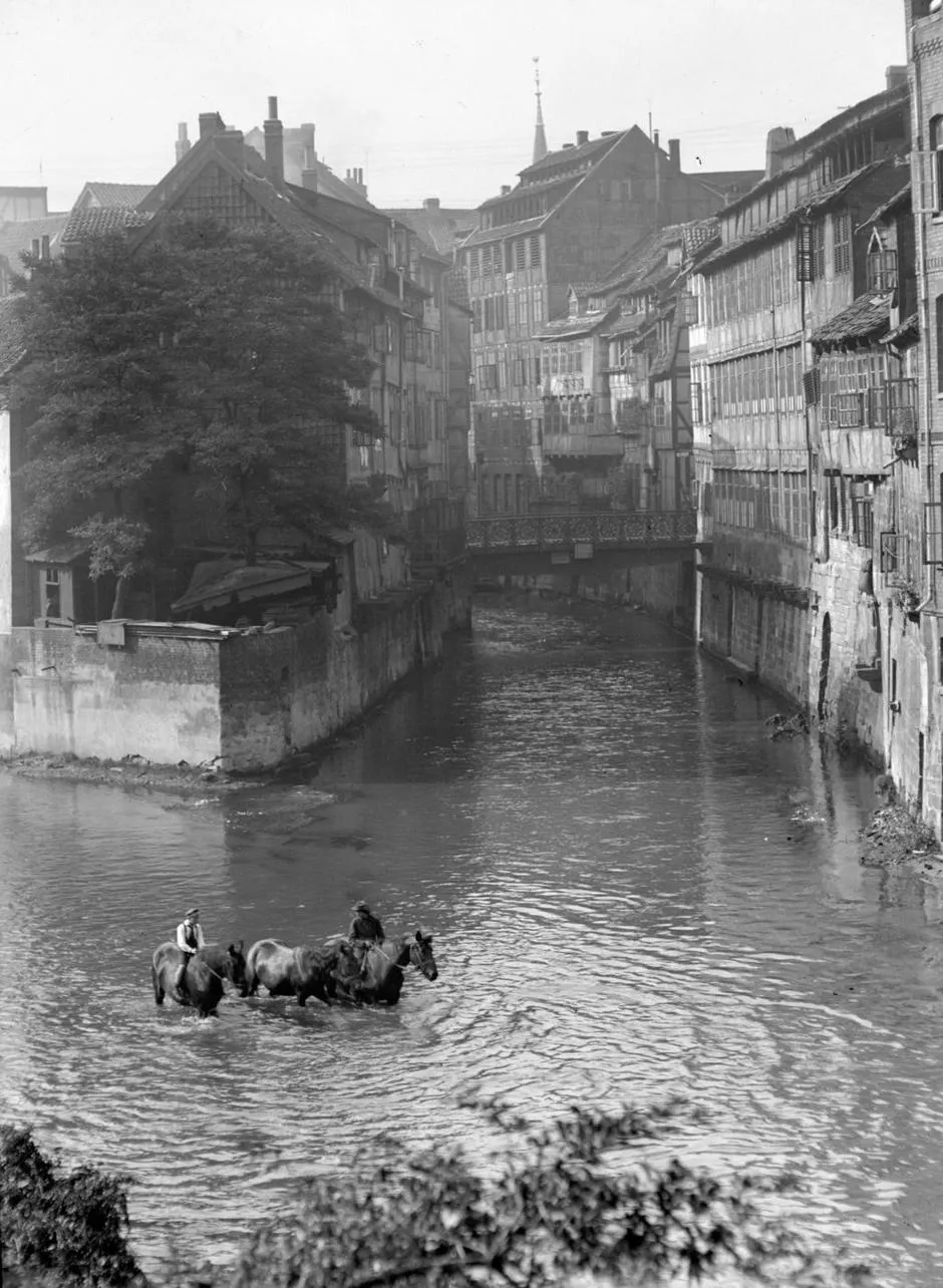 Zwei Reiter mit drei Pferden sind diie Pferdeschwemme hinuntergeritten in die Leine, wo sich ihre beiden Arme am nördlichen Ende der sogenannten "Leineinsel Klein-Venedig wieder vereinen. Der Blick geht in Richtung des später zugeschütteten Leinearmes, über den die Inselbrücke im Zuge der Inselstraße führte. Ganz rechts im Bild sind die Rückseiten der Häuser des Straßenzuges Neue Straße zu sehen, Wilhelm Ackermann, 1920