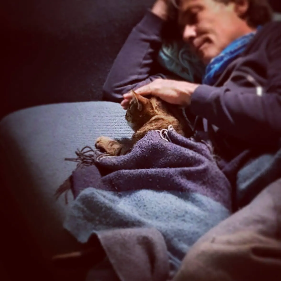 Person mit Katze unter Decke auf Couch