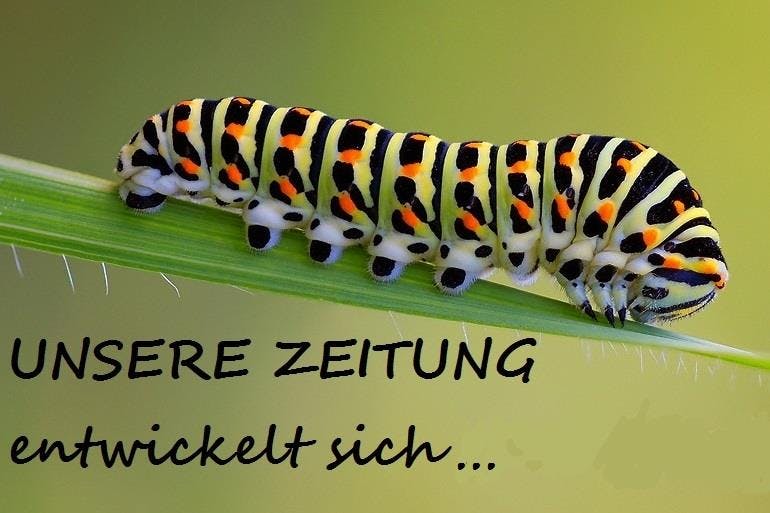 Unsere Zeitung entwickelt sich...