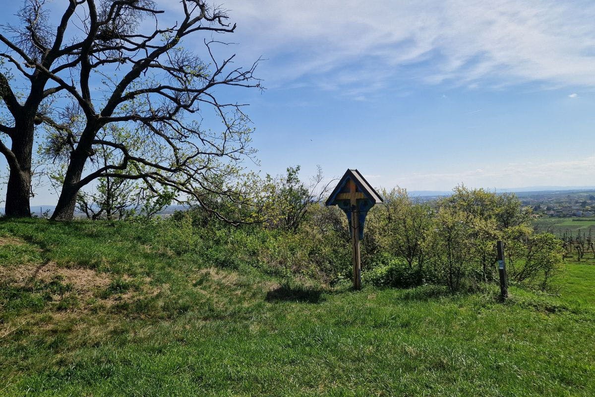 Kreuz in den Weinbergen bei Pfaffstätten