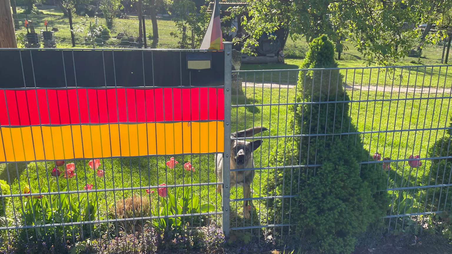 Trau, schau wem
