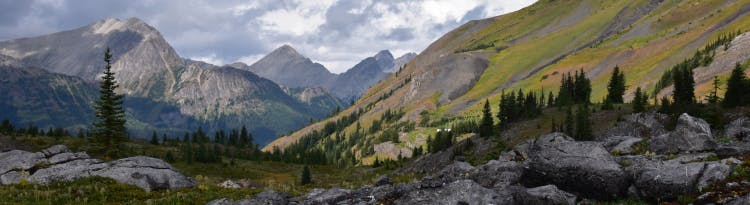Im Gebirge gibt es viele Steine. Copyright Verena Schmidt