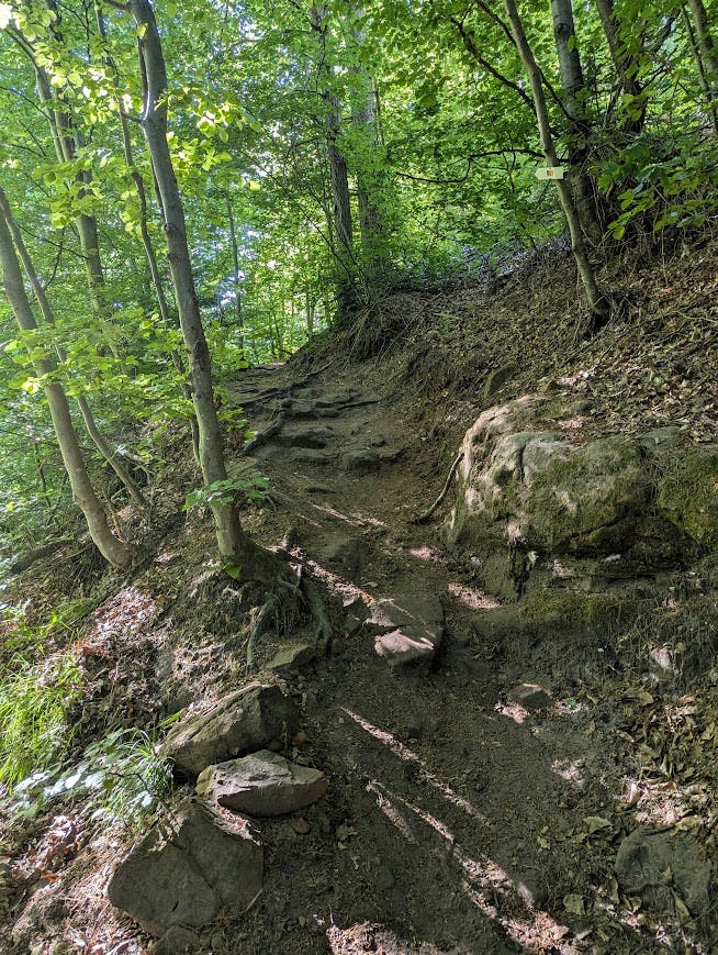 schmaler, bergan führender Pfad mit vielen kleinen Felsen