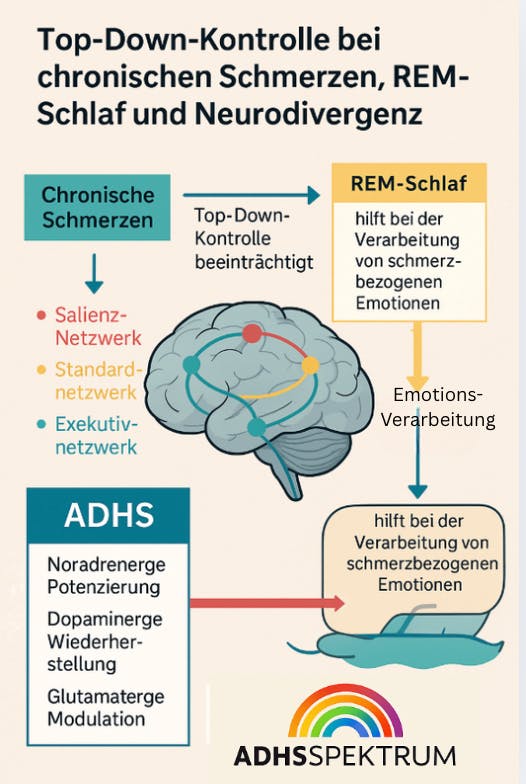Chronischer Schmerz und REM-Schlaf-Verarbeitung