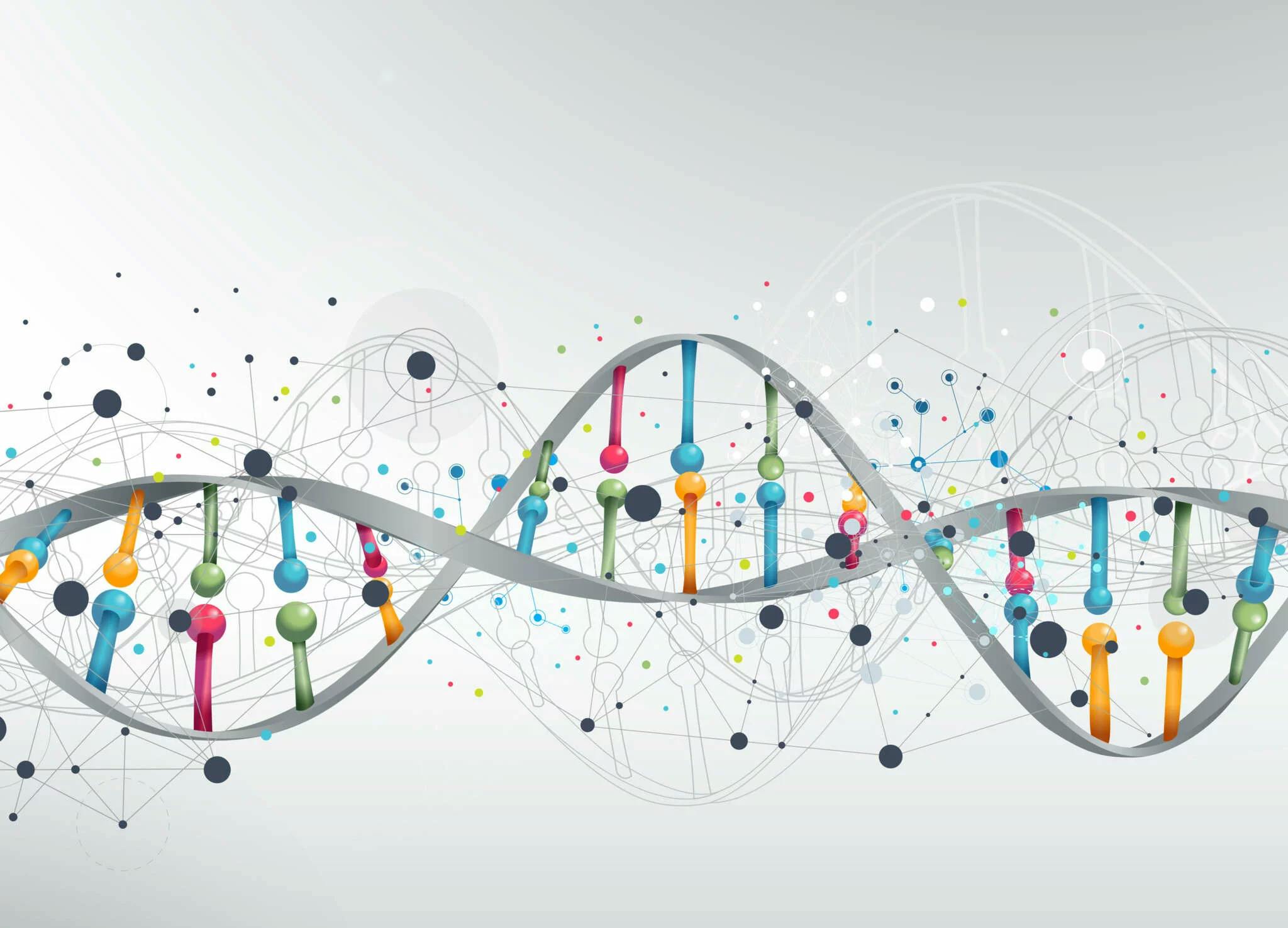 Grafik einer DNA Doppelhelix mit farbigen Basenpaaren in einem grauen gedrehten Band