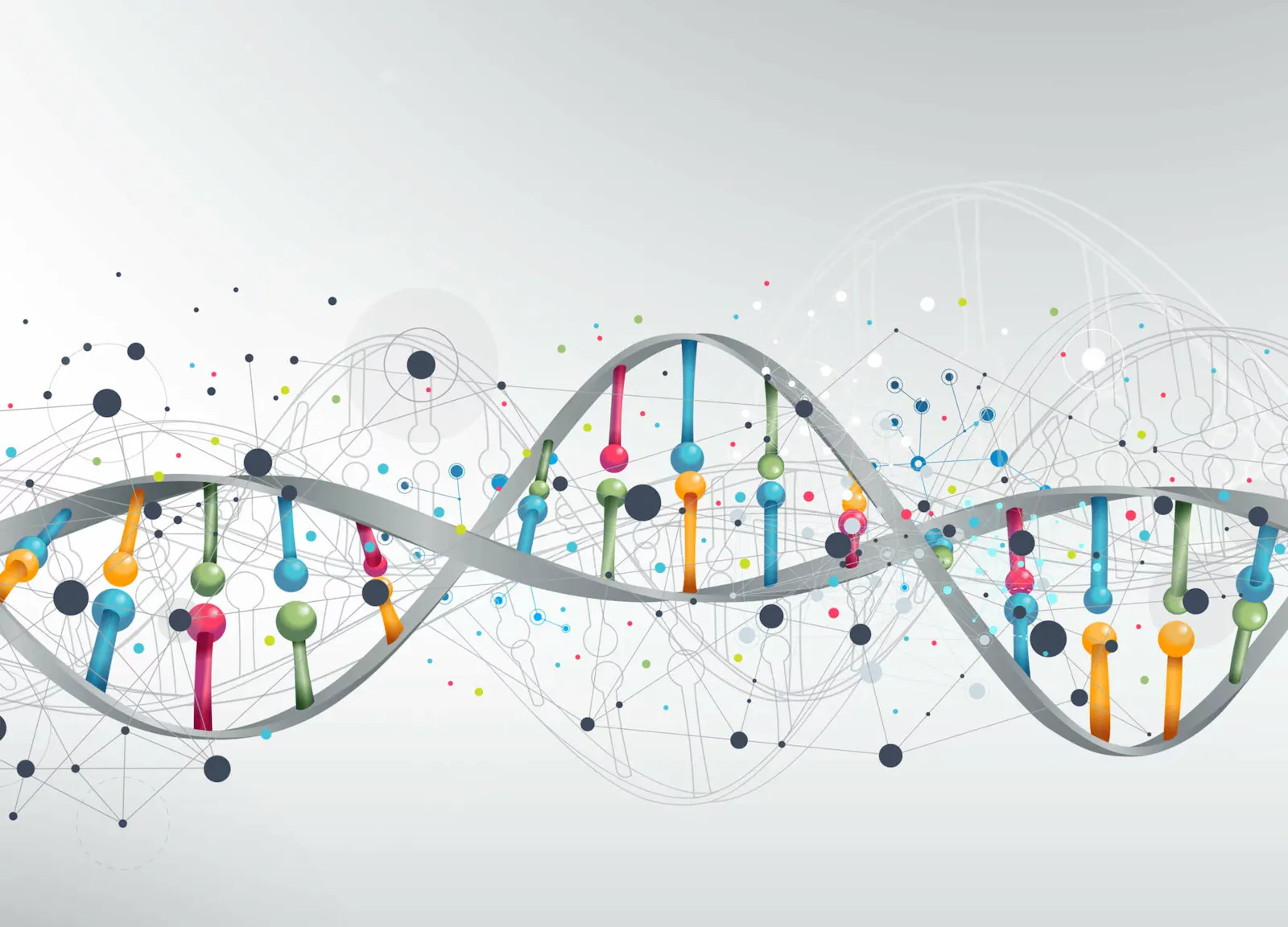 Grafik einer DNA Doppelhelix mit farbigen Basenpaaren in einem grauen gedrehten Band