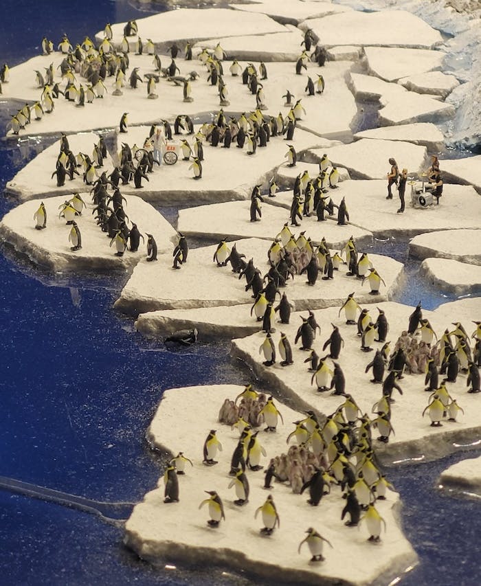 Pinguine in Patogonien als Modell im Miniatur Wunderland Hamburg.