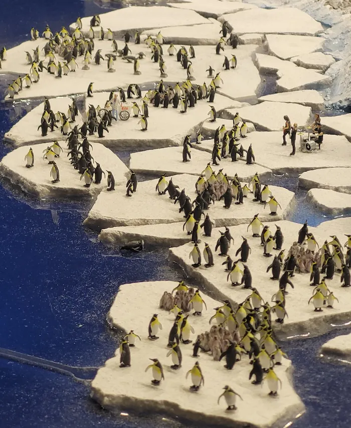 Pinguine in Patogonien als Modell im Miniatur Wunderland Hamburg.