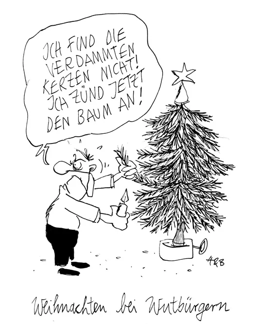 Cartoon von Hauck und Bauer : Ein Mann steht wütend vor einem Weihnachtsbaum, in der rechten Hand hält er eine Kerze, mit der linken hält er energisch einen Ast der Tanne fest. Er schreit: "Ich find die verdammten Kerzen nicht! Ich zünd jetzt den Baum an!" Darunter steht: "Weihnachten bei Wutbürgern"