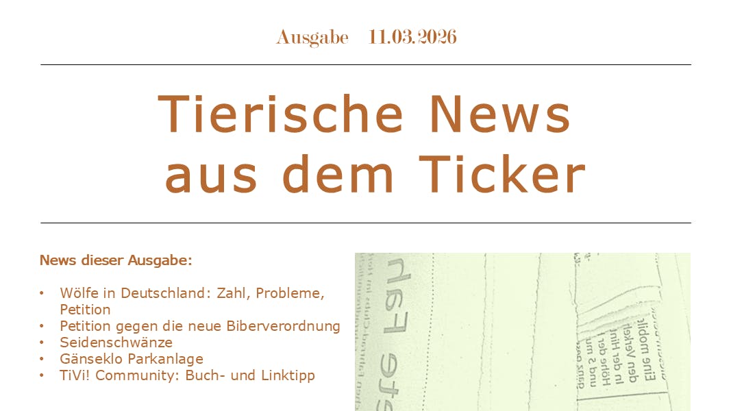 Rubrikbild, Artikel ist vom 11.3.2026. Die Überschrift in Orange: Tierische News aus dem Ticker. Rechts darunter das Bild eines Zeitungsstapels. Links eine Aufzählung der Themen: Wölfe in Deutschland: Zahl, Probleme, Petition. Petition/Biberverordnung, Seidenschwänze, Gänseklo Parkanlage, TiVi! Community: Buch- und Lesetipp.