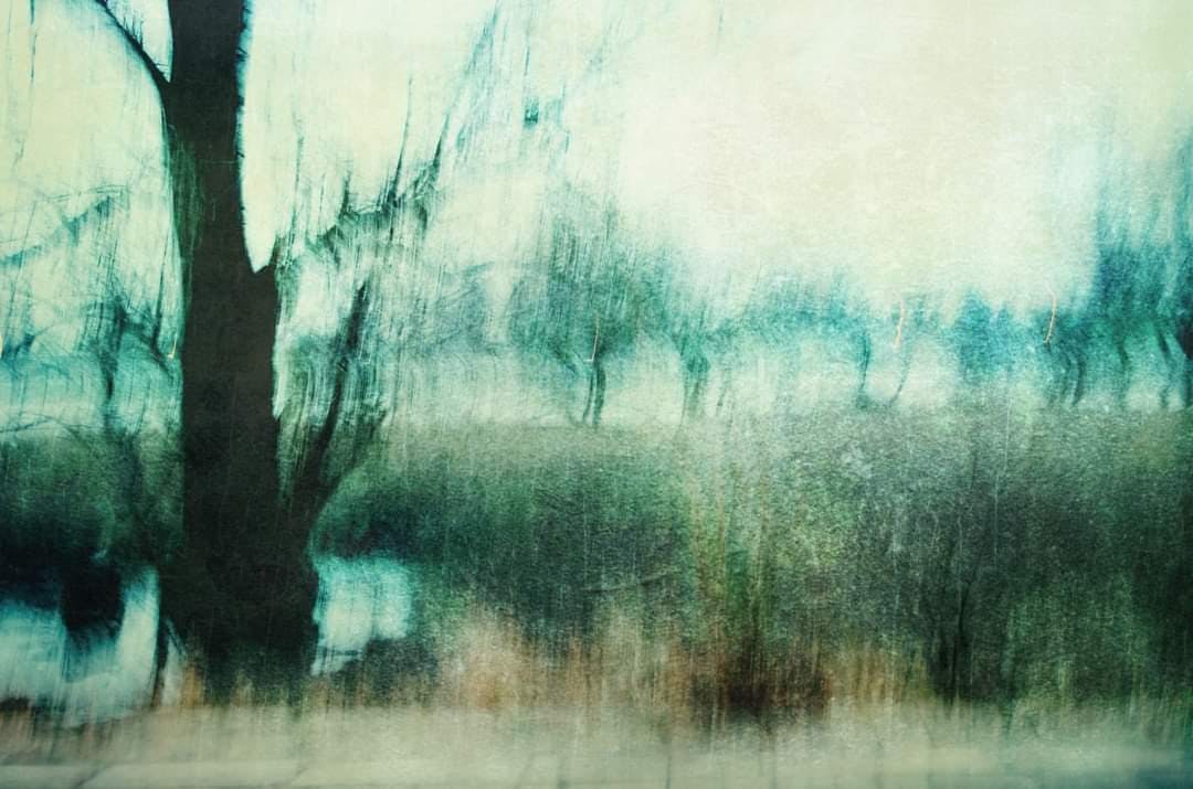 Unten am Fluss
Auflage :                   10
Größe    :                   20x30cm






In eigener Sache,
das Bild des Monats verwandelt sich nun in das Bild der Woche.
Ein Bild kann auch immer ein schönes Geschenk sein.


Vielen herzlichen Dank für euer Interesse.
Preise sind telefonisch zu erfragen oder per Email

Interessiert? Schreib mir einfach an cege@gmx.de

oder nehmt über meine Webseite Kontakt zu mir auf.
