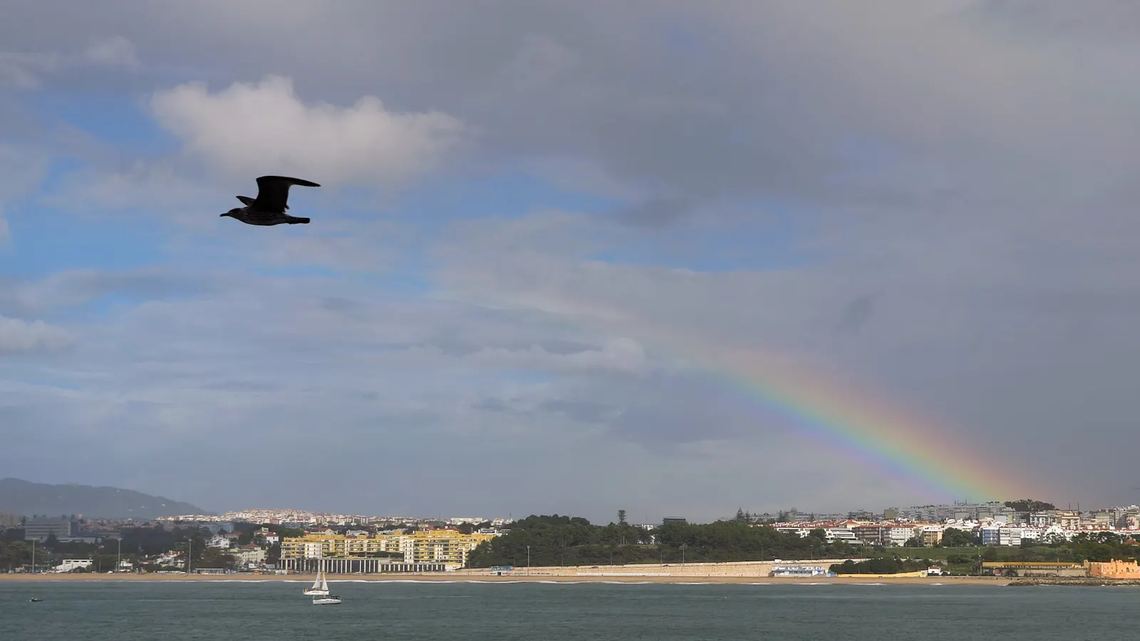 Kleiner Regenbogenansatz mit Möwe bei Lissabon, Portugal, Oktober 2023. Foto: Jürgen Brand