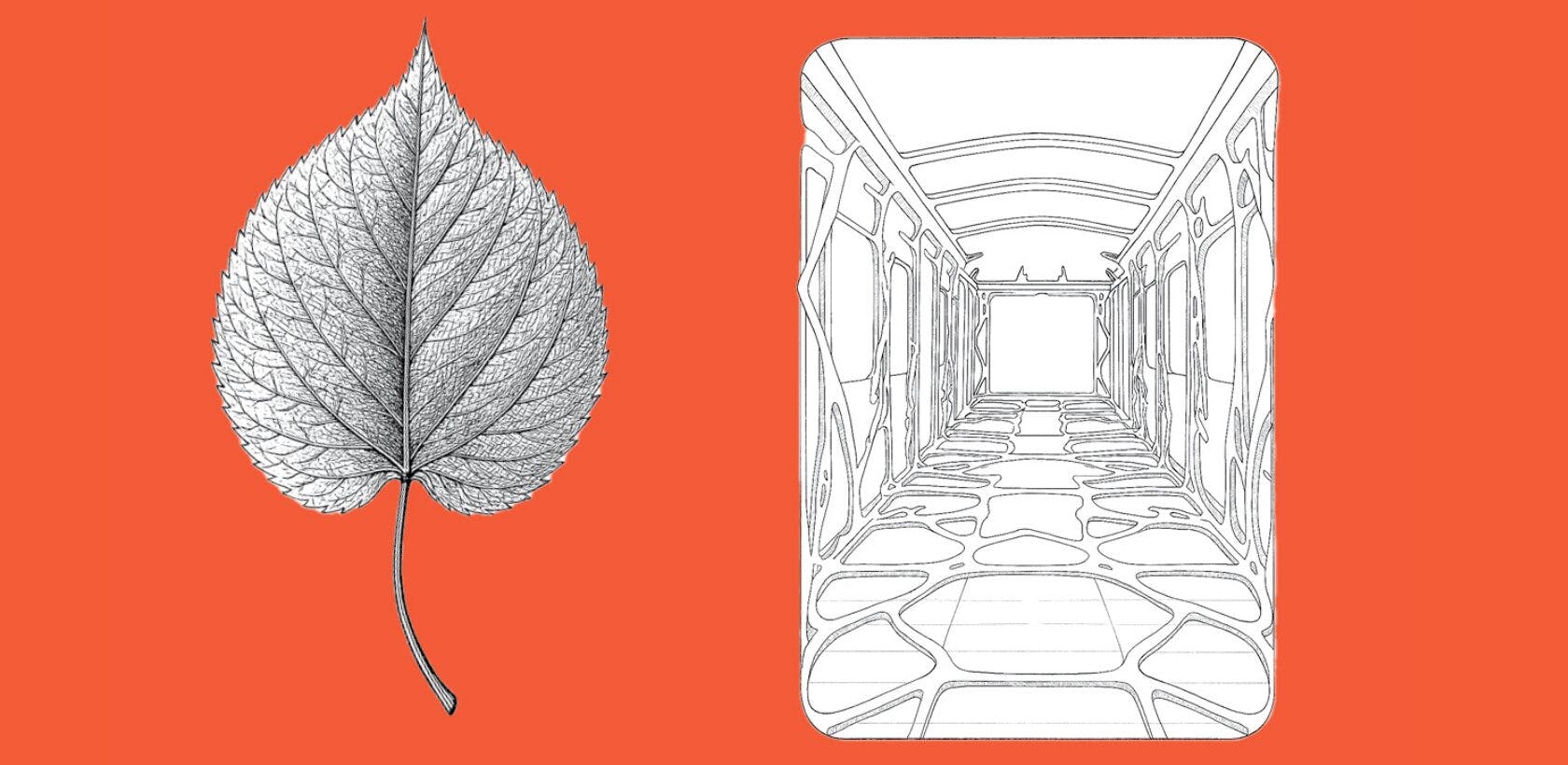 Illustration unseres Naturtalents: Wie Blätter U-Bahnen inspirieren