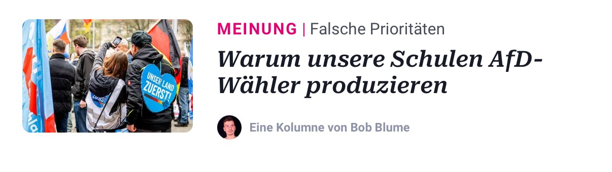 Titel eine Kolumne: Warum unsere Schulen AfD-Wähler produzieren.