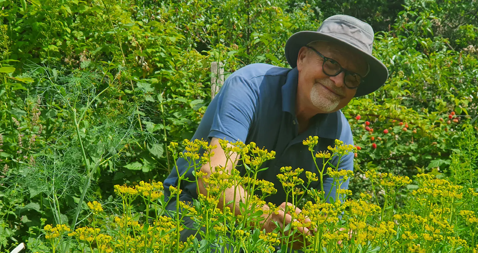 Richard Wymann trägt eine Brille und Sonnenhut, steht zwischen sehr vielen Pflanzen und lächelt in die Kamera.
