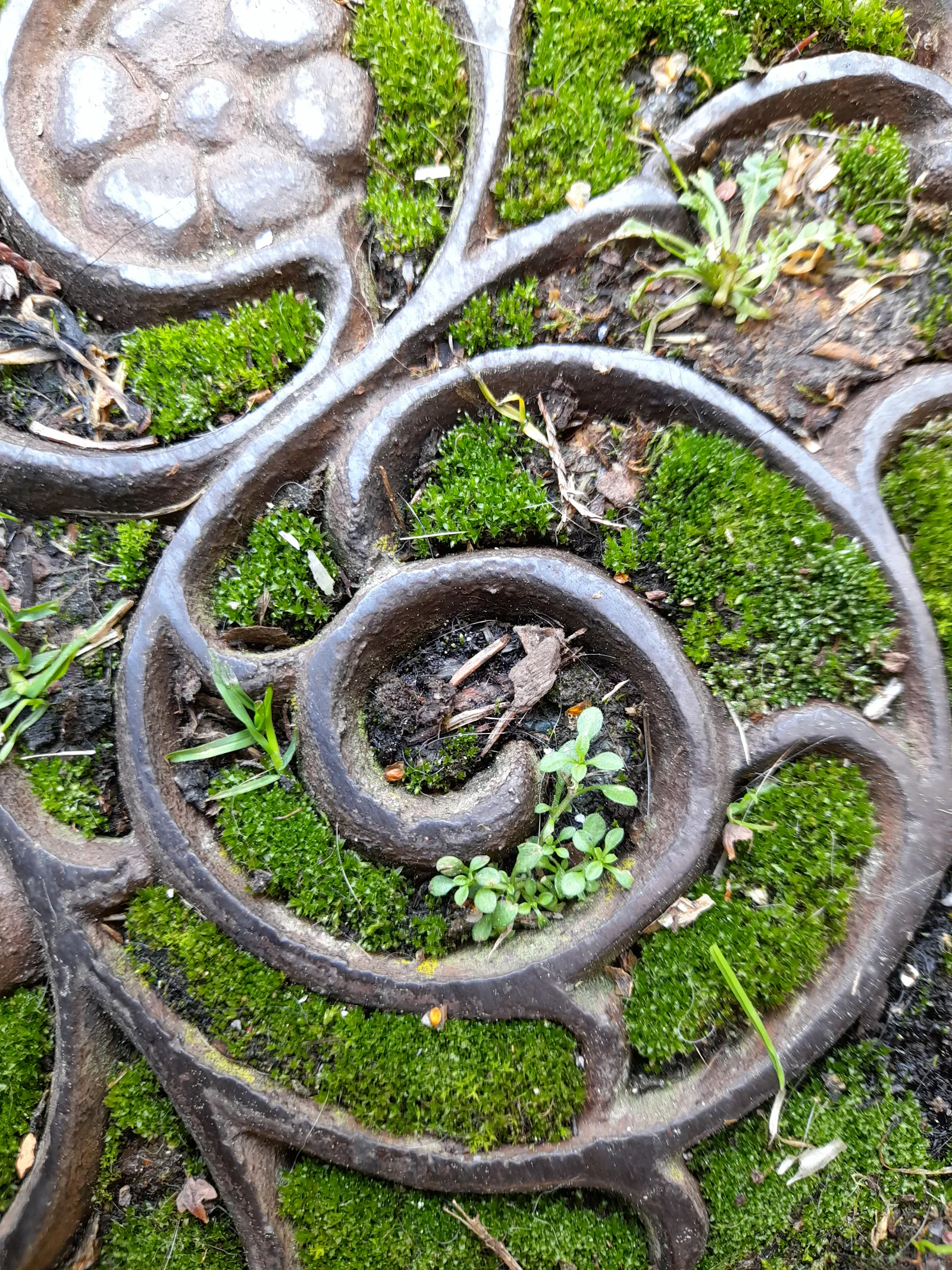 A snail-shaped spiral with a flower on a cast-iron doormat. Moss grows in the gaps, with small sprouts in some places.