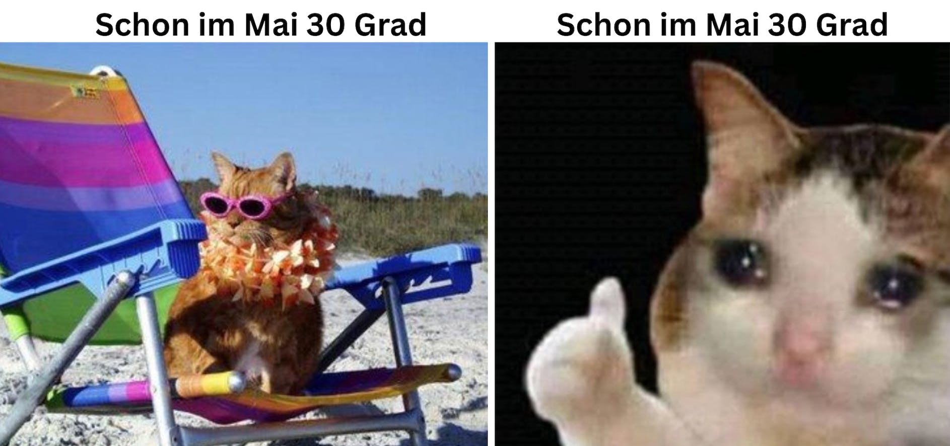 Auf dem Meme sind zwei Bilder von Katzen zu sehen, die eine chillt am Strand und die andere schaut traurig und betroffen ins Bild, mit einem Daumen nach oben. Darüber steht "Schon im Mai 30 Grad".