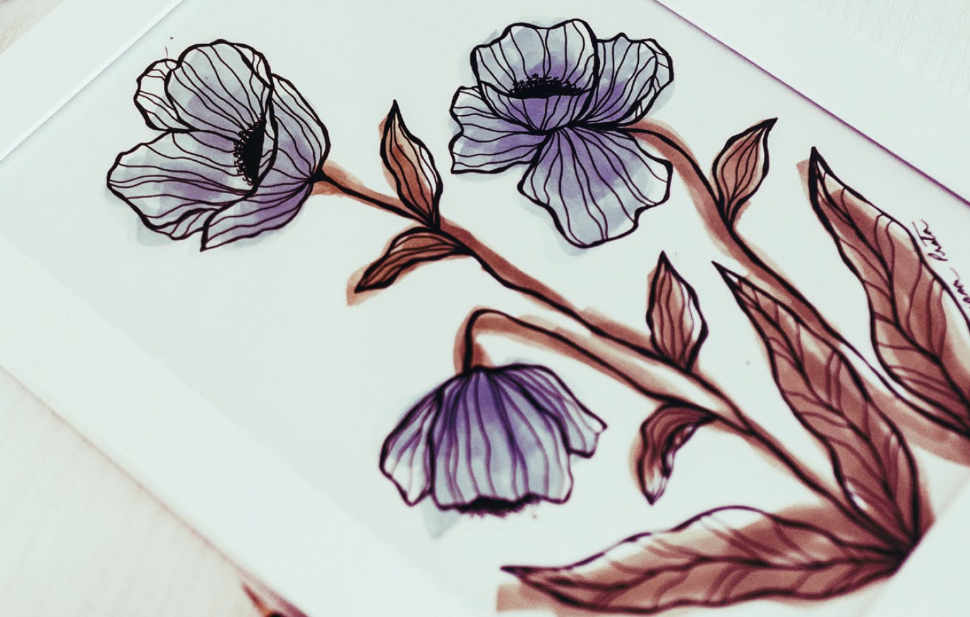 DIY-Workshop: Botanisch zeichnen – Pflanzen mit dem Stift entdecken (Teil 5)