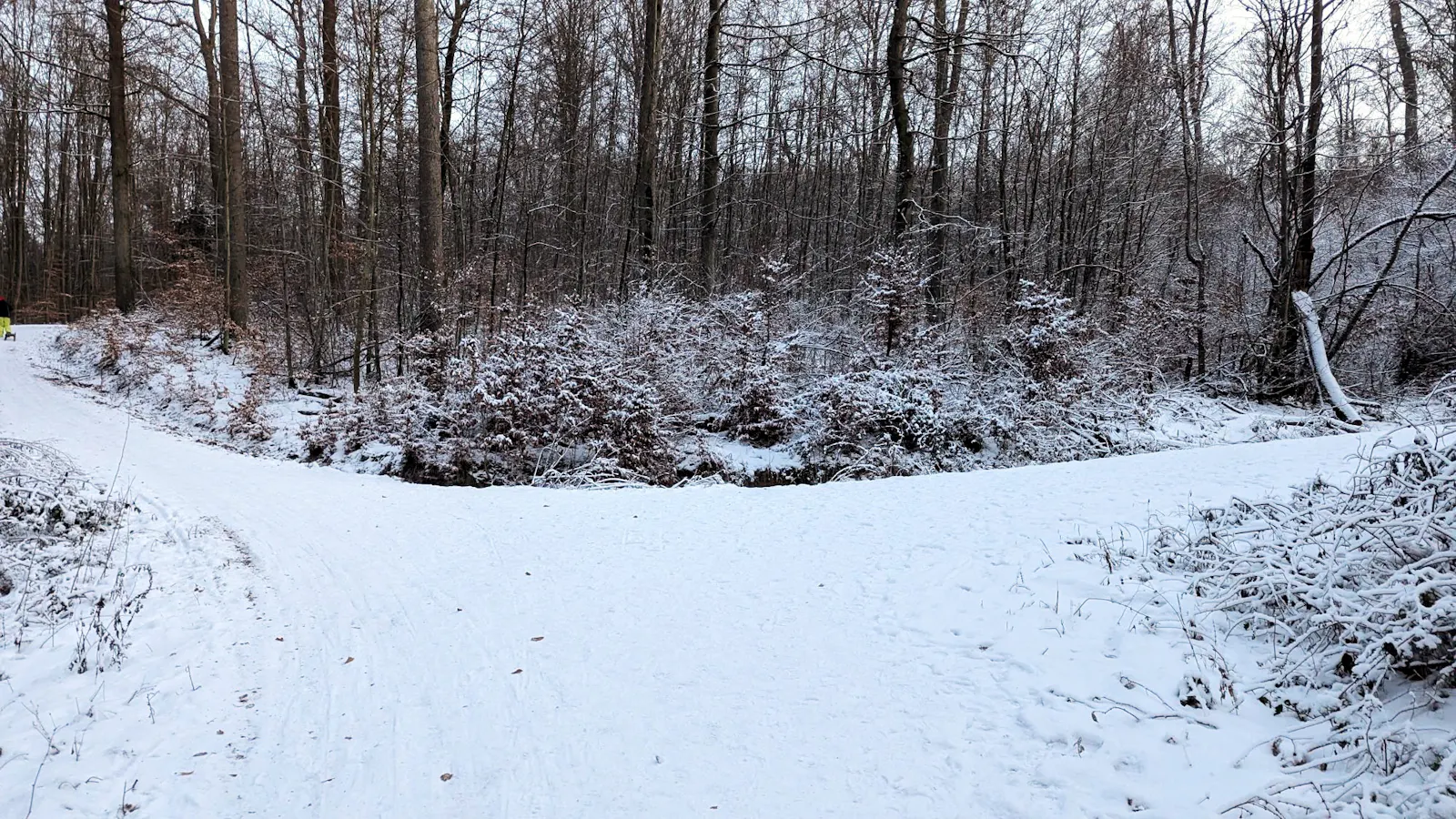 Ein verschneiter Waldweg. Weiter vorn gabelt er sich. Auf dem Weg nach links ist am Bildrand gerade noch ein Kind in einem Schneeanzug mit einem Schlitten zu sehen.