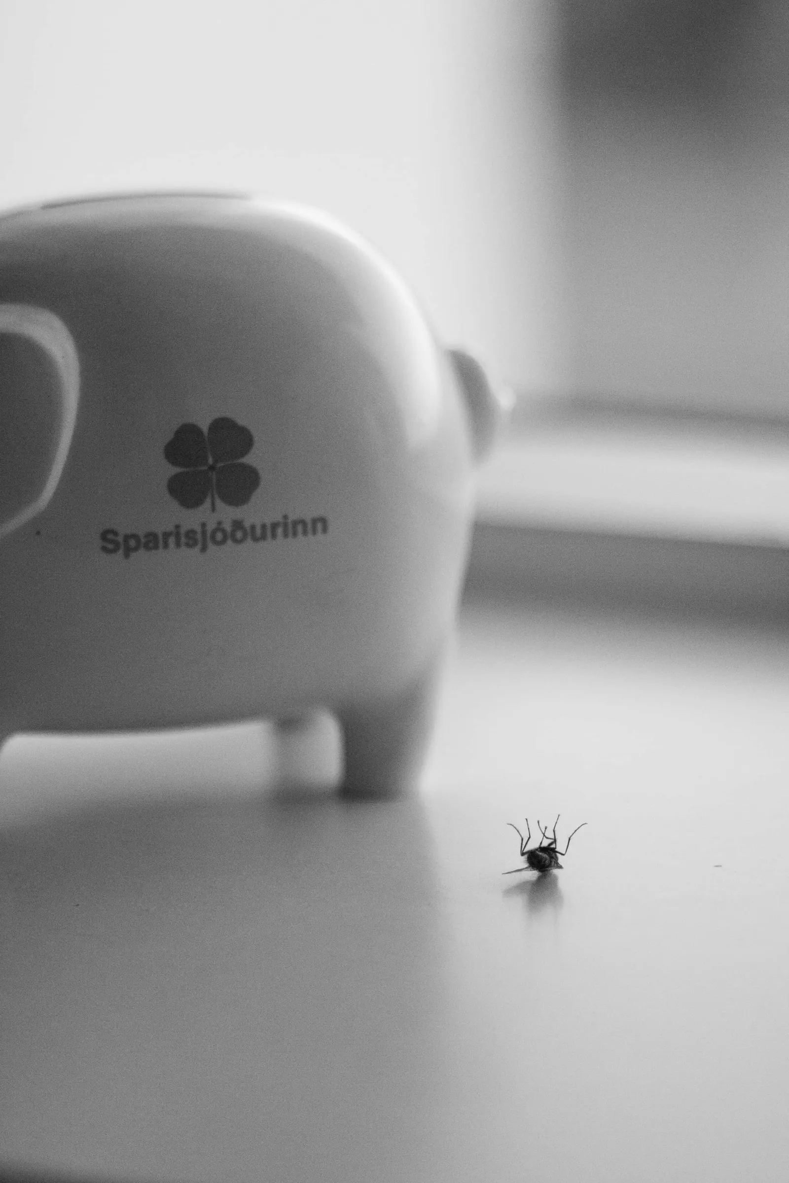 A fly lies dead beside a piggy bank
