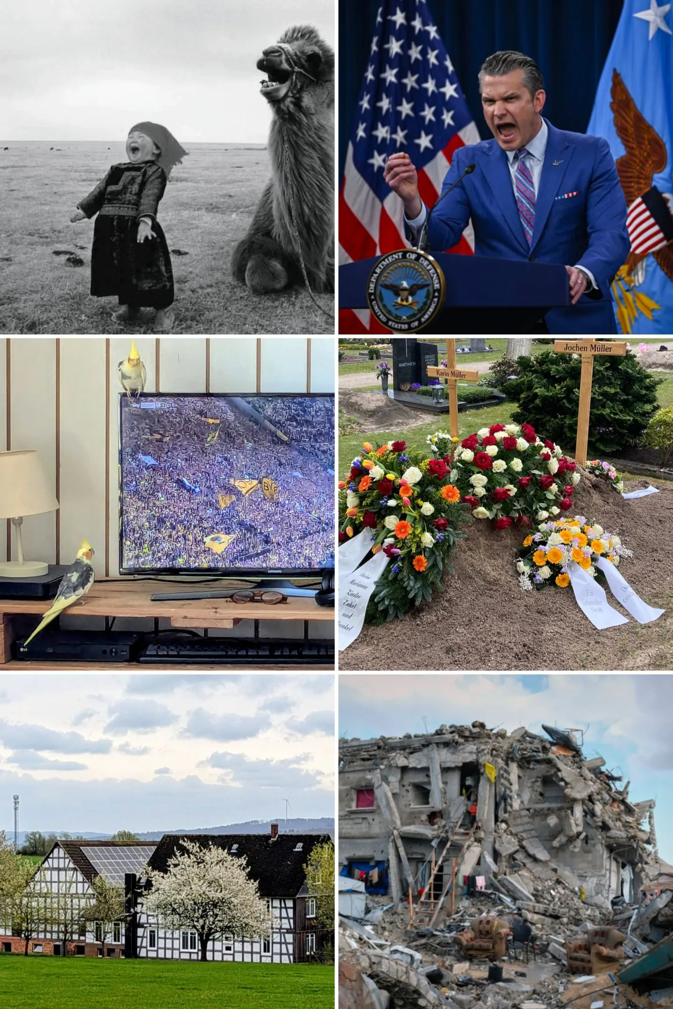 Dieses Bild ist eine Collage aus insgesamt sechs Bildern. Sie zeigt 1. ein lachendes mongolisches Mädchen, 2. den brüllenden amerikanischen Kriegsminister Pete Hegseth, 3. zwei Nymphensittiche, die Fußball schauen, 4. die Gräber meines Vaters und meiner Tante, 4. einen Bauernhof mit blühenden Bäumen in schöner Landschaft und 6. ein zertrümmertes Haus in Gaza.