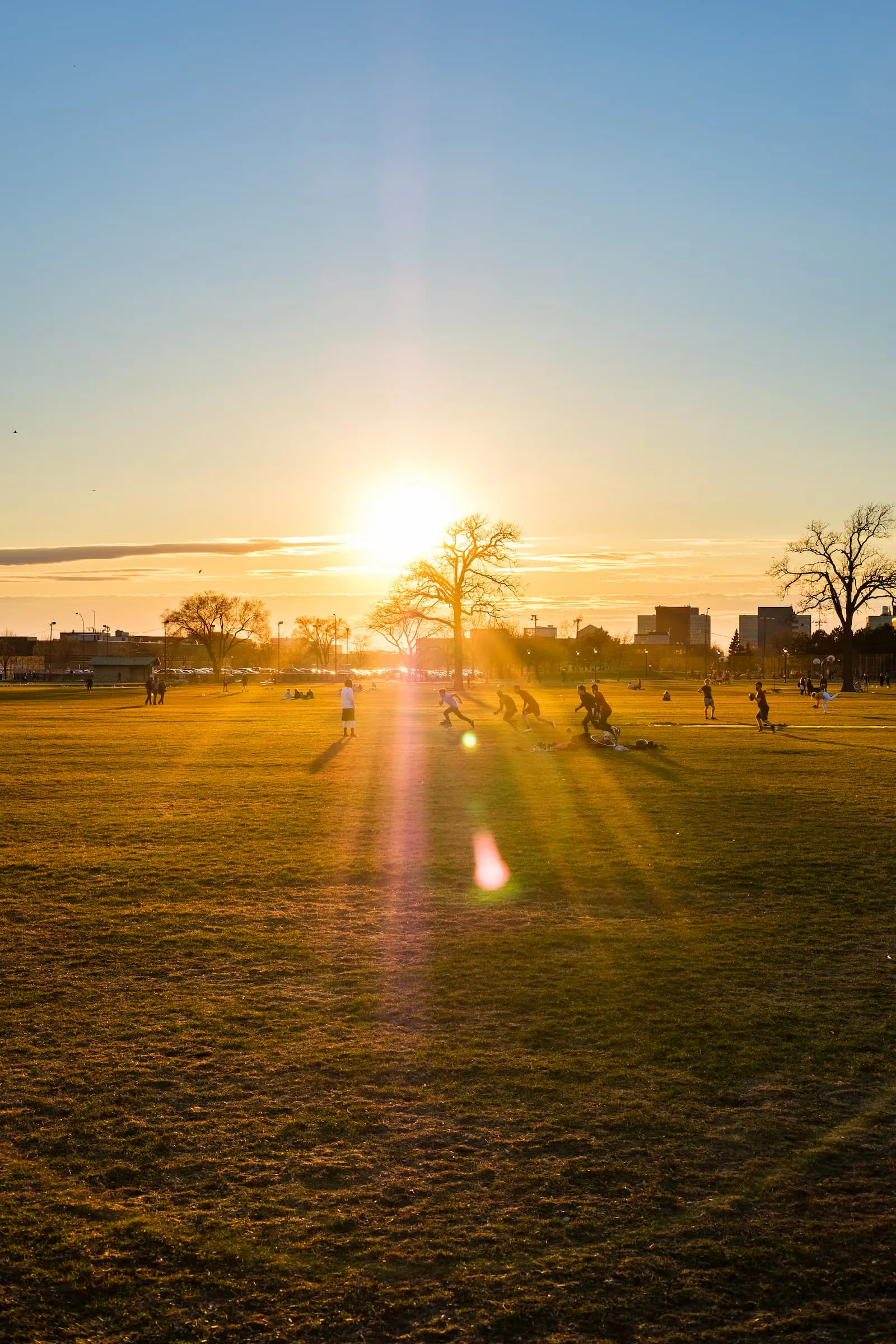 A group of men play rugby in the park as the sun sets behind them