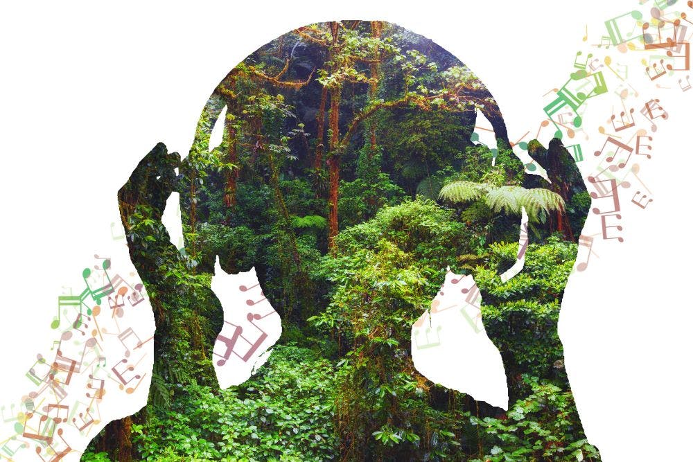 Silhouette d'une personne portant des écouteurs, réalisée à partir d'éléments de la forêt et de plantes.