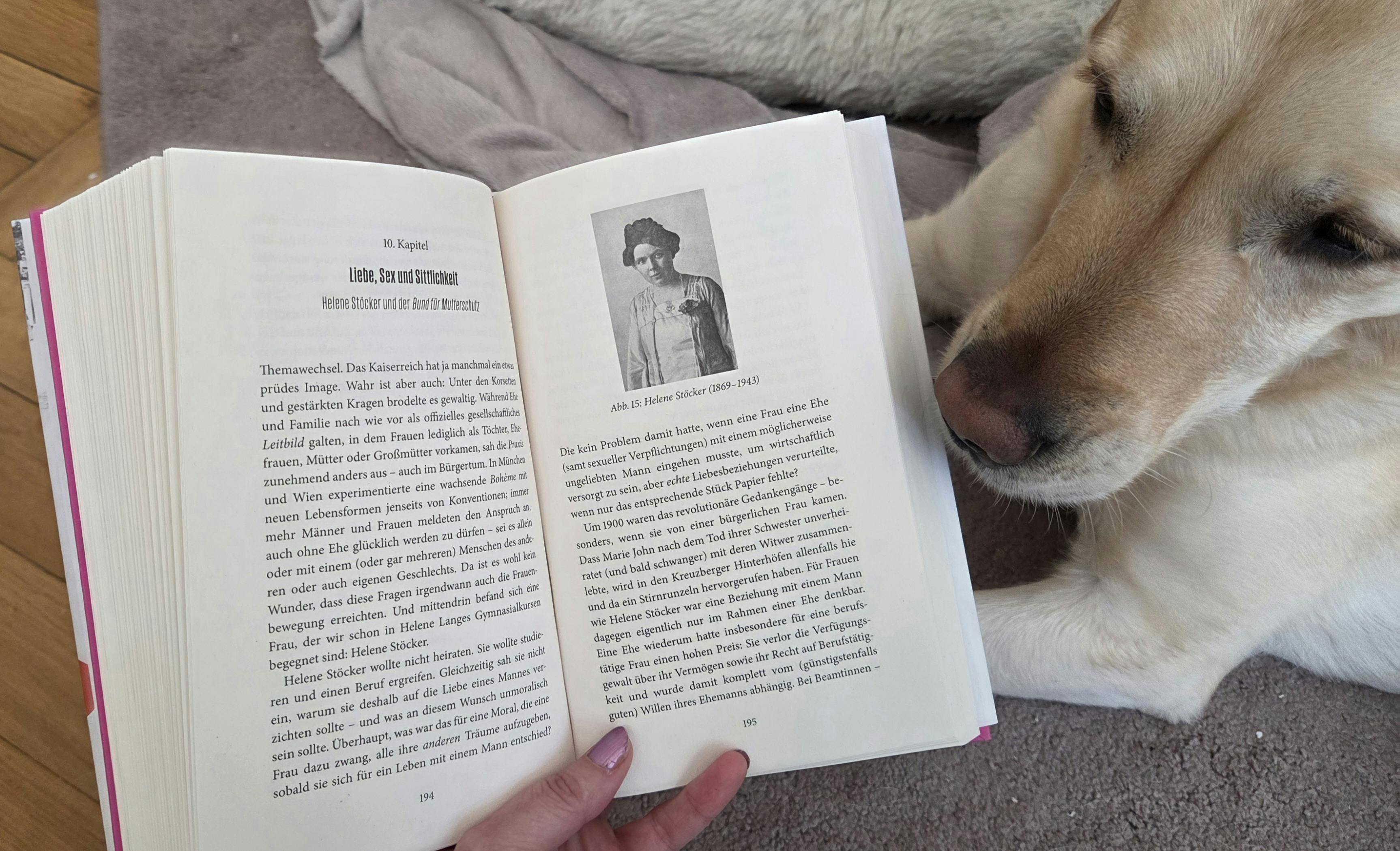Mein Hund Pebbles guckt mit mir ins Kapitel "Liebe, Sex und Sittlichkeit. Helene Stöcker und der Bund für Mutterschutz"