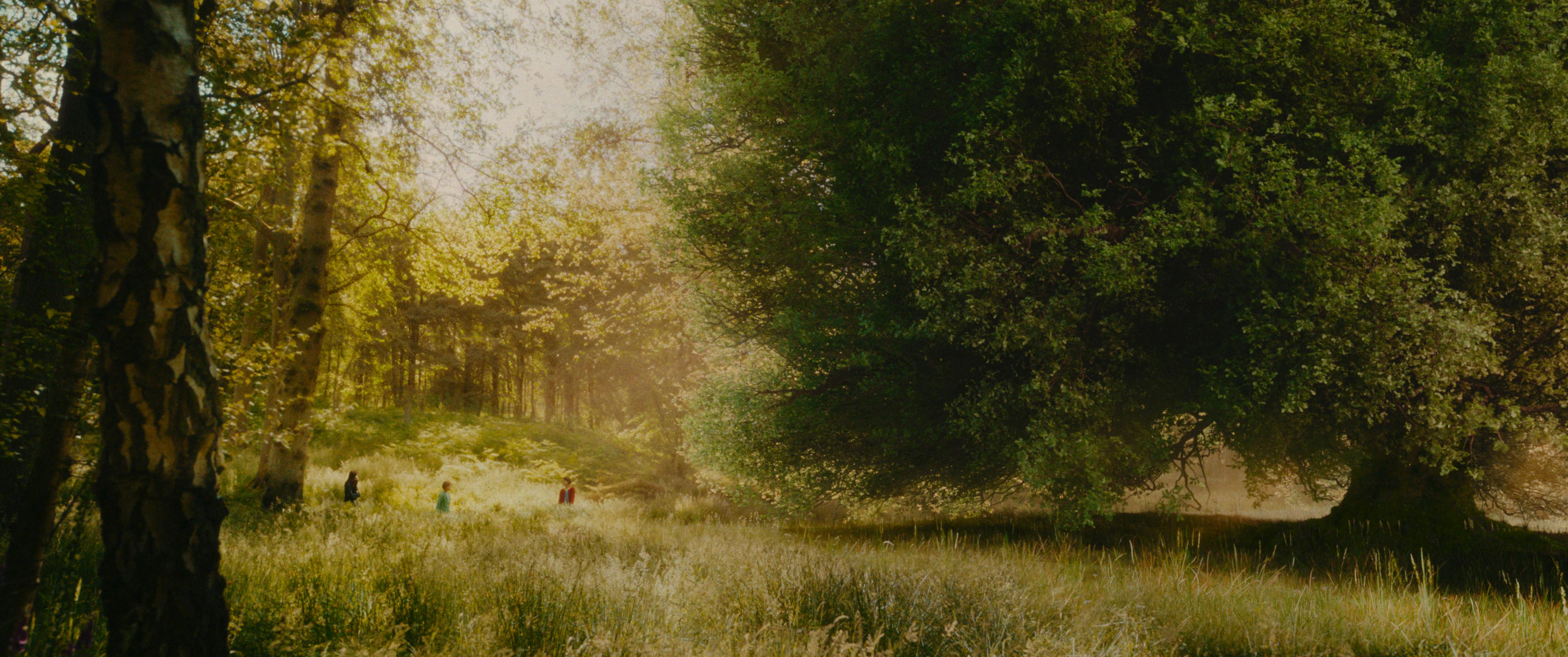 Fran (re., Billie Gadsdon) zeigt ihren Geschwistern Beth (li., Delilah Bennett-Cardy) und Joe (mi., Phoenix Laroche) den verzauberten Wald // © Leonine Studios