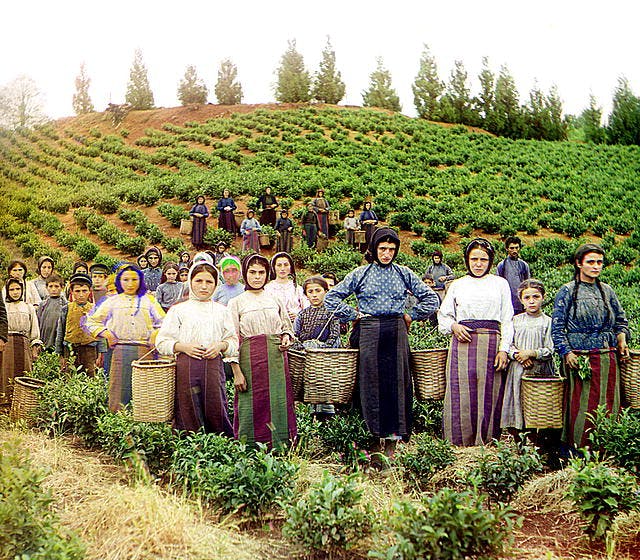 Donne a lavoro