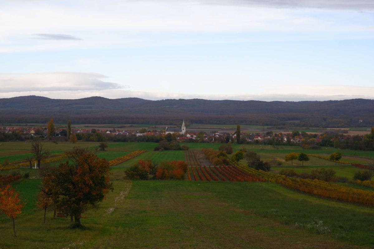 Blick auf Schützen am Gebirge