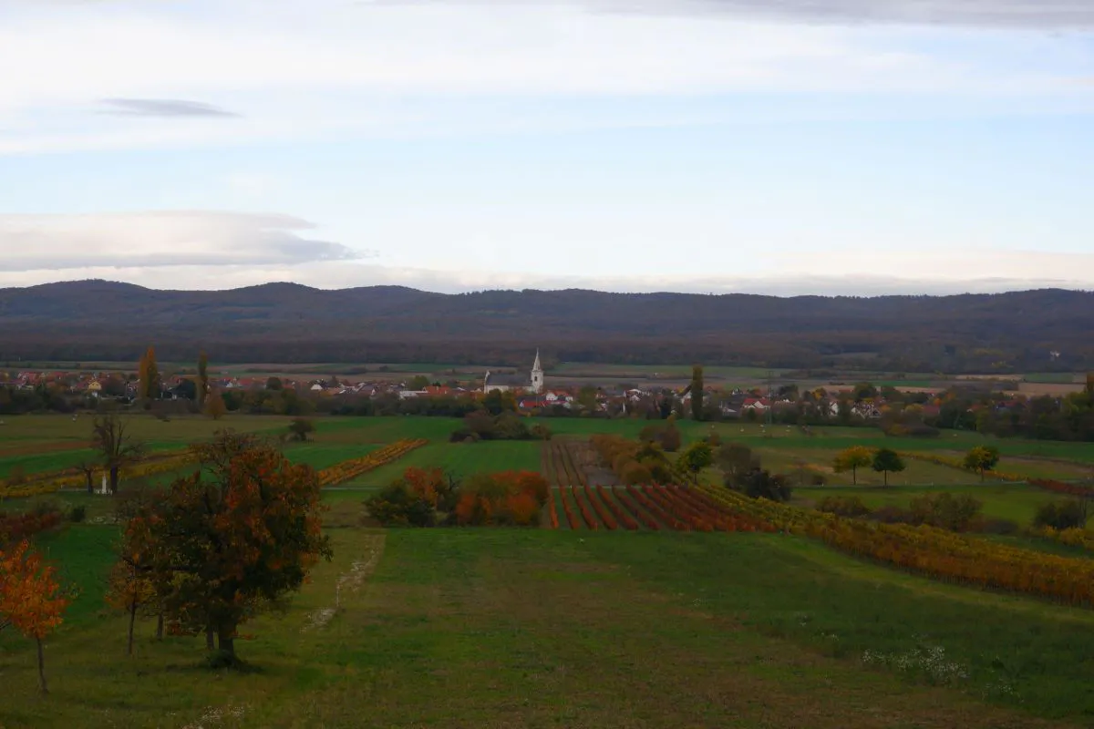 Blick auf Schützen am Gebirge