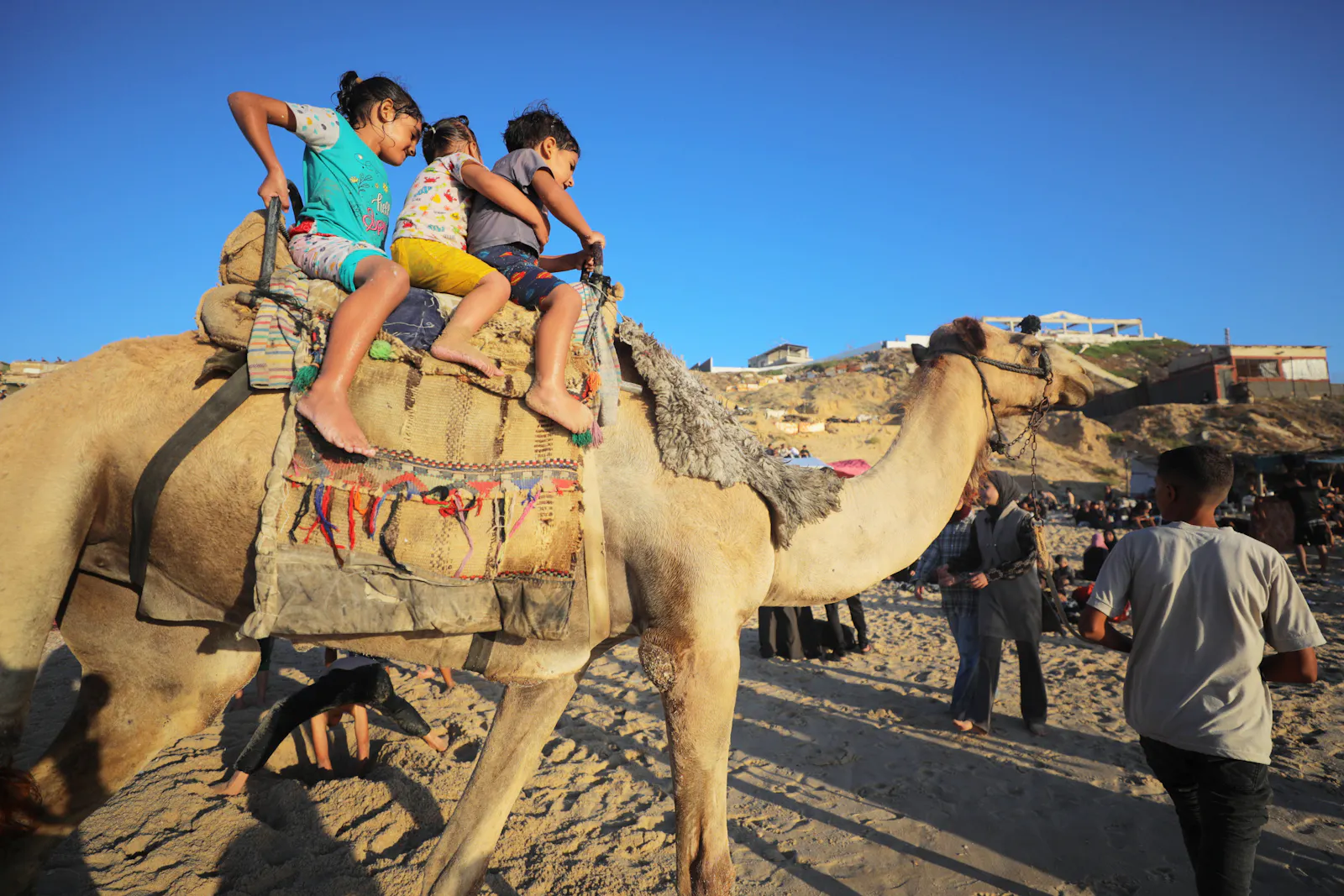 Drei Kinder reiten als Touristenattraktion auf einem geführten Kamel.