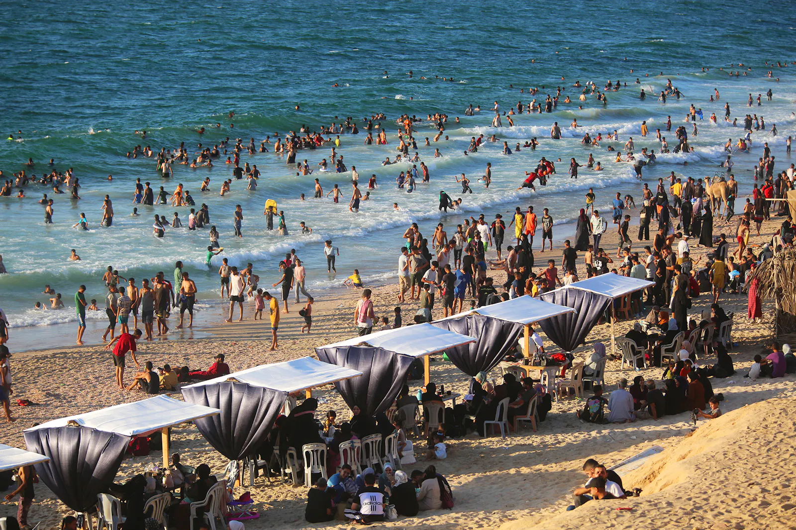 Strandszene, hudnerte planschen im Wasser, Dutzende sitzen in Gruppen unter Sonnenschützern auf Stühlen.
