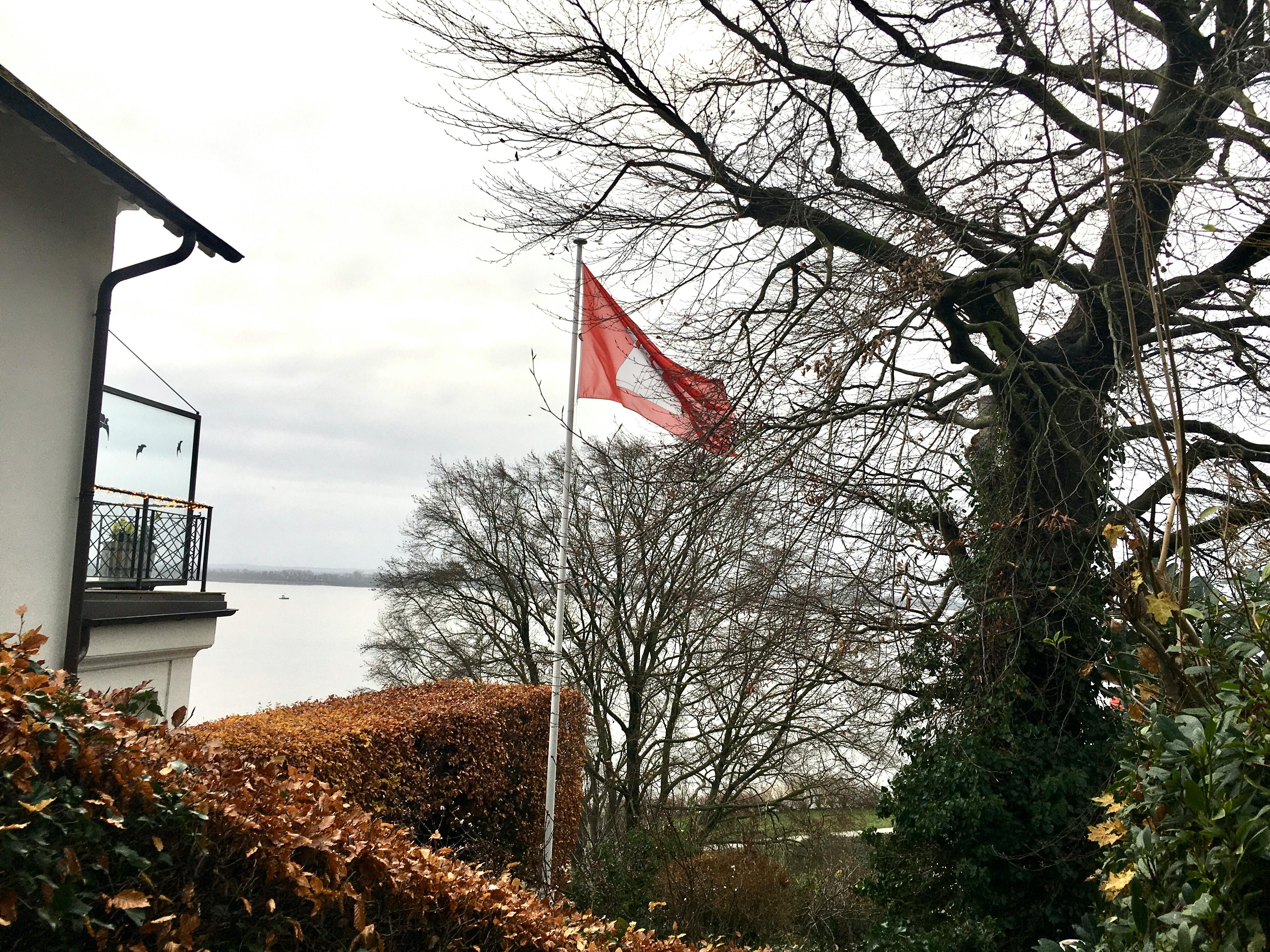 Teil eines Hauses, eine Hamburg-Fahne, ein Baum und im Hintergrund die Elbe, dazu eine weißgraue Wolkendecke